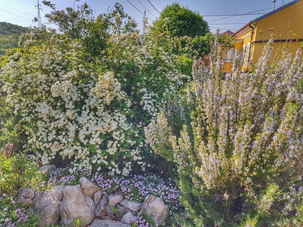Rijeka Holiday Home Krasica  Exterior foto